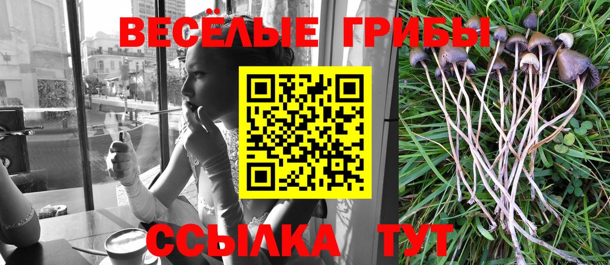 Псилоцибиновые грибы GOLDEN TEACHER Среднеуральск