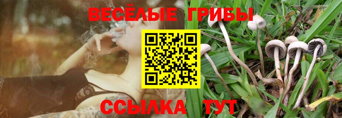 Псилоцибиновые грибы Cubensis  Вход с VPN  Среднеуральск 